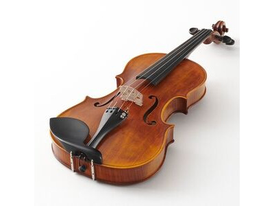 Stentor Arcadia Violin Only 4/4 click to zoom image