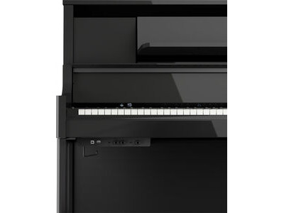 Roland LX-9 Digital Piano click to zoom image