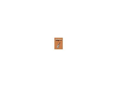 Yamaha Music Entertainment Studio Ghibli Songs for Violin and Piano (Easy) 
