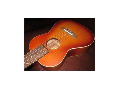 Ortega Earth Series RUDAWN-CE Concert Ukulele Elec/Ac 