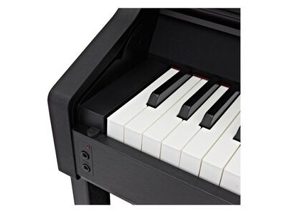 Casio AP710 Celviano Digital Piano click to zoom image
