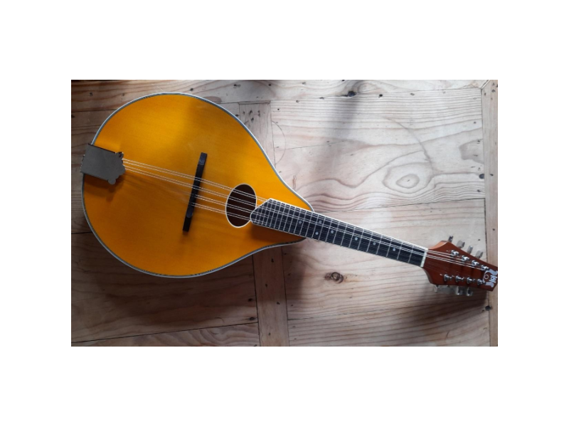 Harmonic Strings HS2 Solid Spruce Mandolin with bag click to zoom image