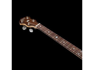 Clareen Special Tenor Banjo click to zoom image