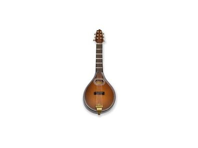 Agifty Magnet Mandolin