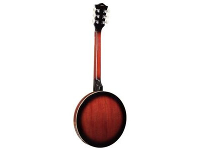 Barnes & Mullins 6 String Banjo click to zoom image