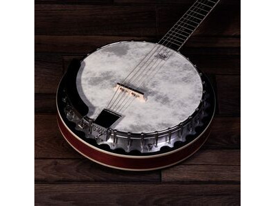 Barnes & Mullins 6 String Banjo click to zoom image