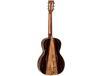 Tanglewood TWJPS Electro Acoustic Guitar click to zoom image
