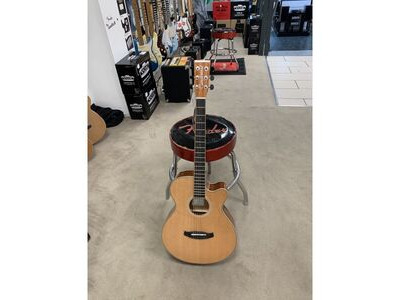 Tanglewood DBTSFCEPG Electro Acoustic Guitar