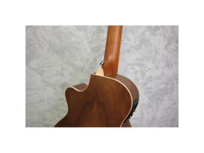 Tanglewood TRTCEBW Travel Size Electro Acoustic Guitar click to zoom image