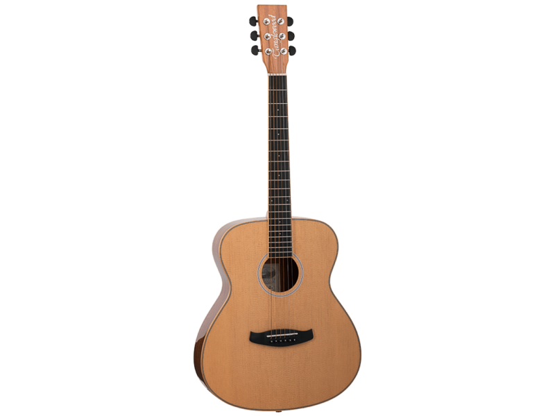 Tanglewood DBTJPG Junior Folk Acoustic Guitar click to zoom image