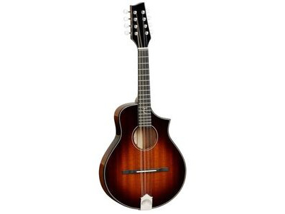 Tanglewood TSM M Masterdesign Mandolin