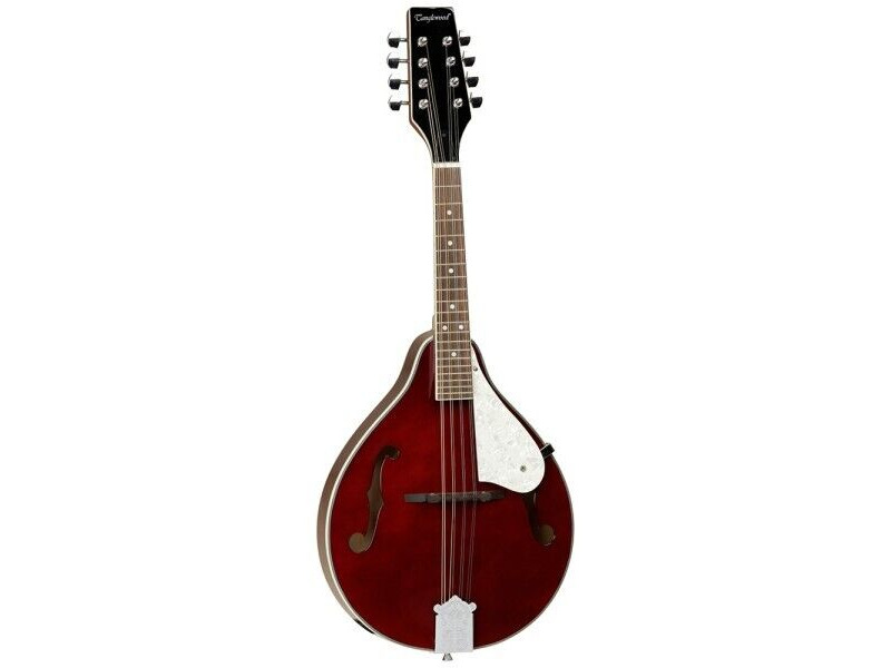 Tanglewood Linden Teardrop F Hole Mandolin With Pickup click to zoom image
