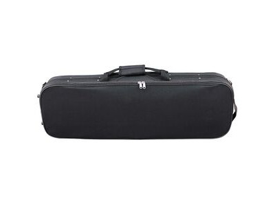 Hidersine Piacenza Veracini Violin 4/4 Outfit click to zoom image