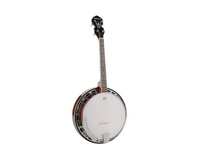 Richwood Heritage Series RMB604SS Tenor banjo 4-string 17 fret 