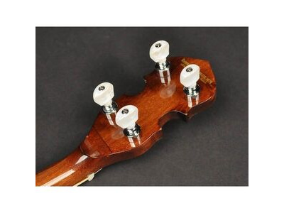 Richwood Heritage Series RMB604SS Tenor banjo 4-string 17 fret click to zoom image