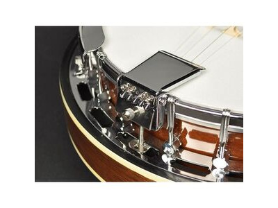 Richwood Heritage Series RMB604SS Tenor banjo 4-string 17 fret click to zoom image